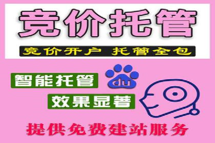 抖音信息流广告与代理服务的结合案例探讨